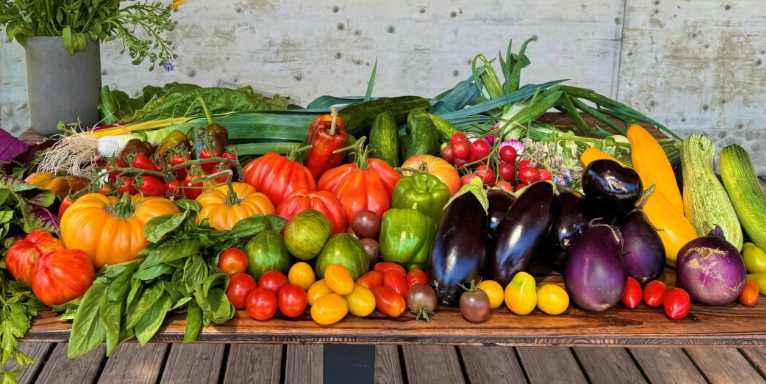 5. Station: Die neue Agri-Kultur – Tiny Farms, Gartenfarmen, Solawi, Market Gardens