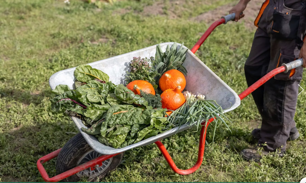 Die Tiny Farms GmbH, das Startup